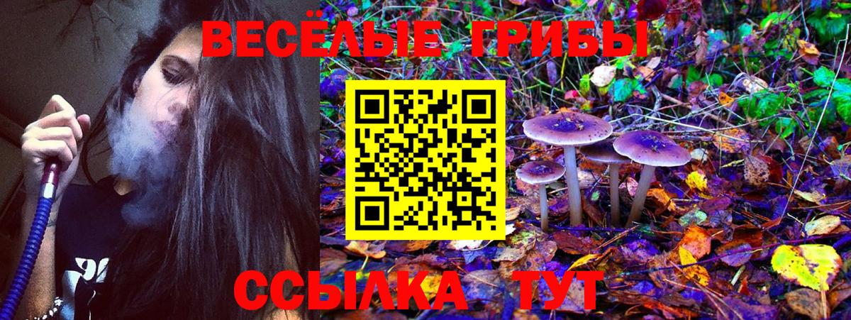 Галлюциногенные грибы Magic Shrooms  Вход с VPN  Рубцовск 