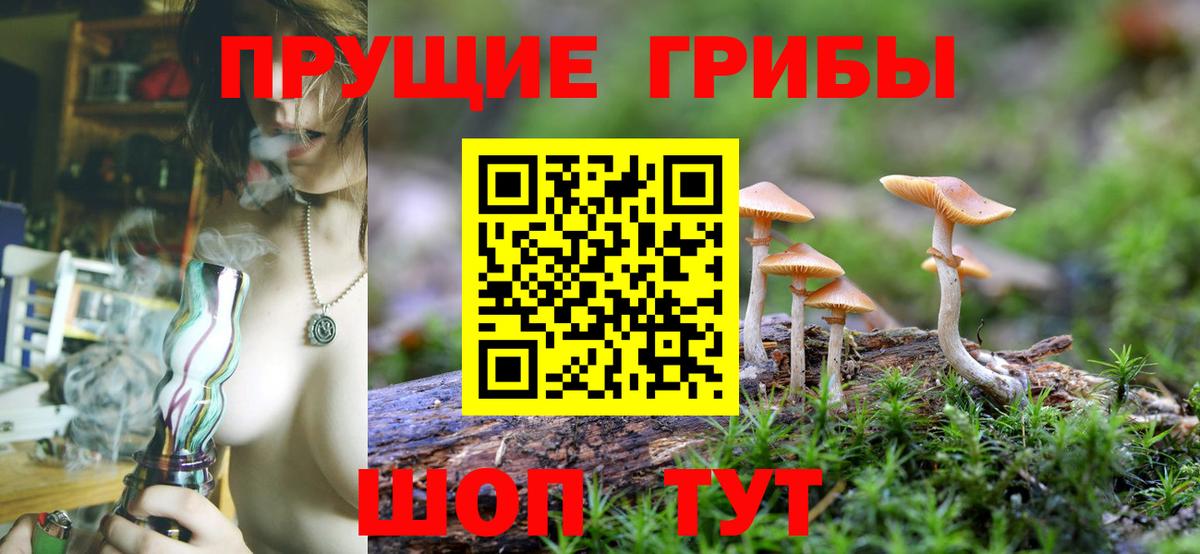 Псилоцибиновые грибы MAGIC MUSHROOMS Рубцовск