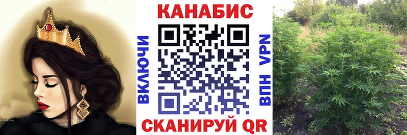 KRAKEN ТОР  как найти   Рубцовск  Конопля сатива 